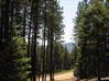 Lot 24 A & B Taos Pines Ranch